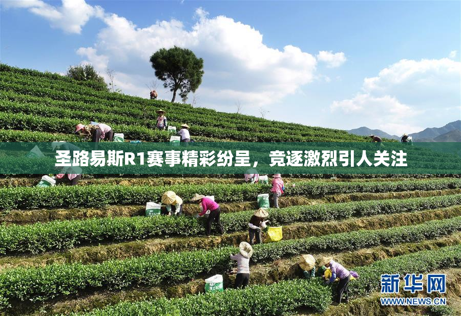 圣路易斯R1赛事精彩纷呈，竞逐激烈引人关注