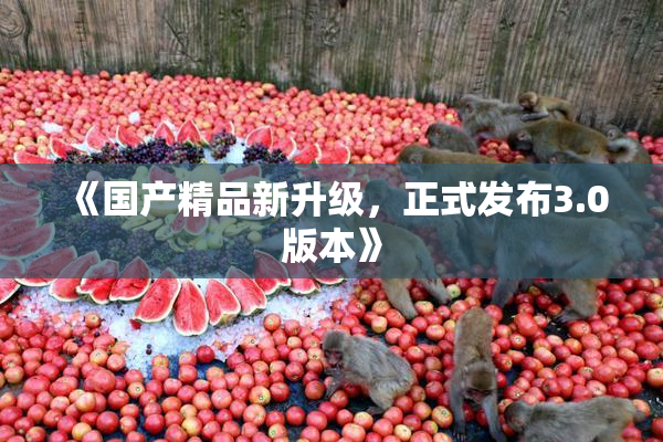 《国产精品新升级，正式发布3.0版本》