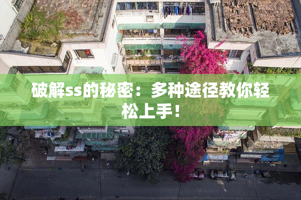 破解ss的秘密：多种途径教你轻松上手！