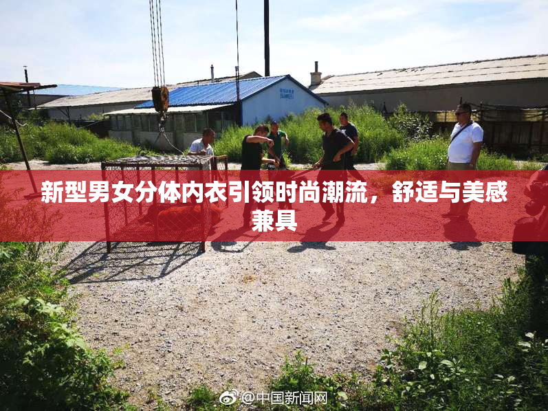 新型男女分体内衣引领时尚潮流，舒适与美感兼具
