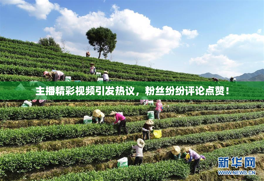 主播精彩视频引发热议，粉丝纷纷评论点赞！