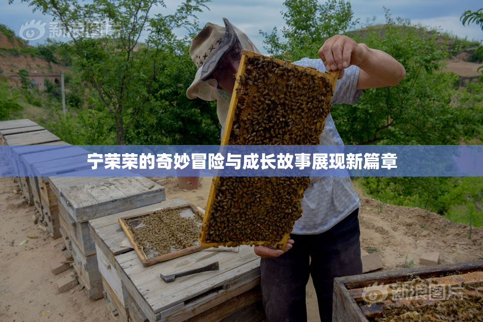 宁荣荣的奇妙冒险与成长故事展现新篇章