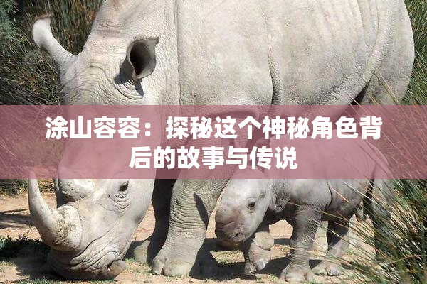 涂山容容：探秘这个神秘角色背后的故事与传说