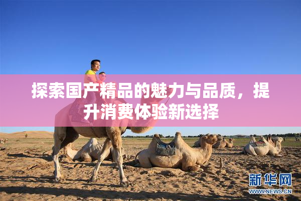 探索国产精品的魅力与品质，提升消费体验新选择