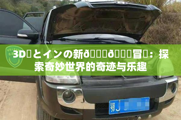 3D姉とインの新👅🍑冒険：探索奇妙世界的奇迹与乐趣