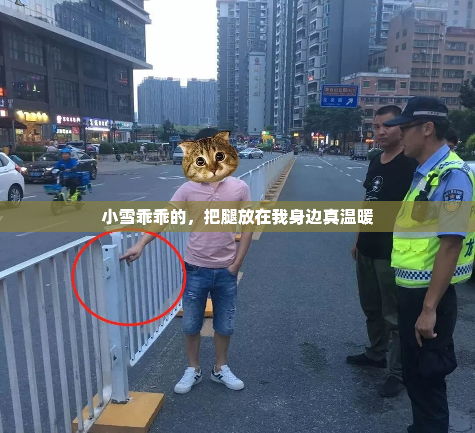 小雪乖乖的，把腿放在我身边真温暖