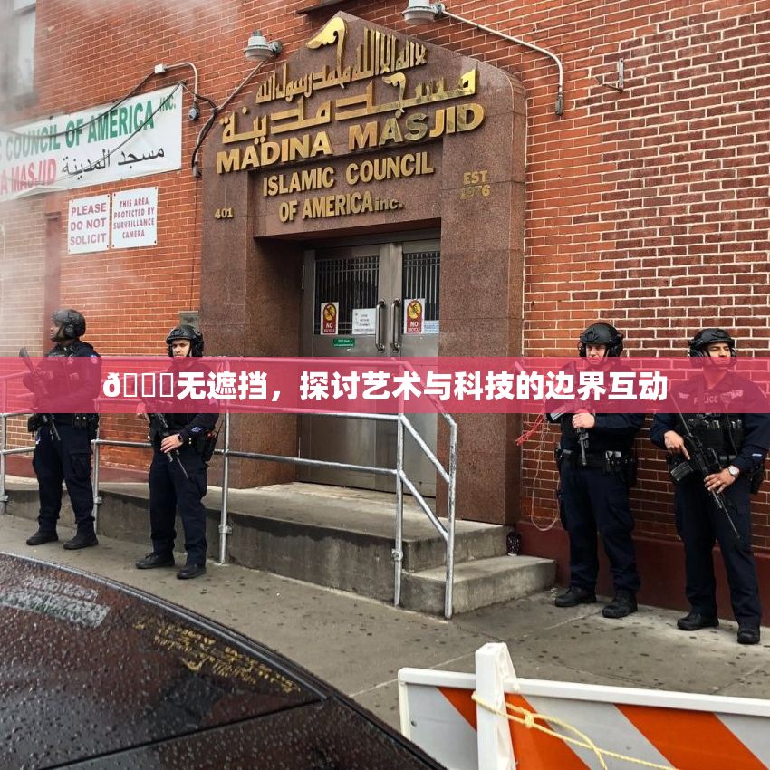 🔞无遮挡，探讨艺术与科技的边界互动