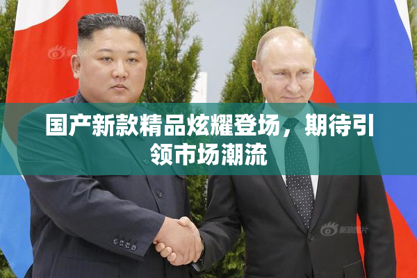 国产新款精品炫耀登场，期待引领市场潮流