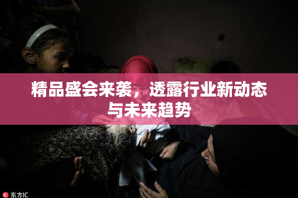 精品盛会来袭，透露行业新动态与未来趋势