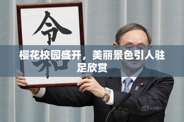 樱花校园盛开，美丽景色引人驻足欣赏