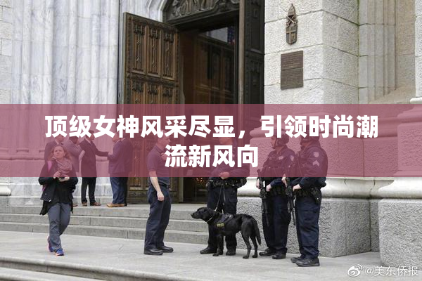 顶级女神风采尽显，引领时尚潮流新风向
