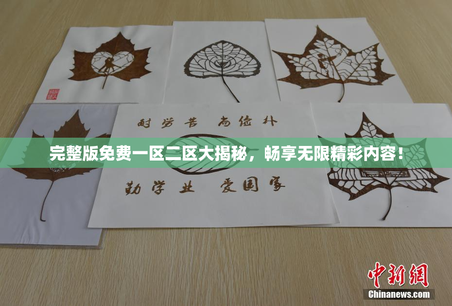 完整版免费一区二区大揭秘，畅享无限精彩内容！