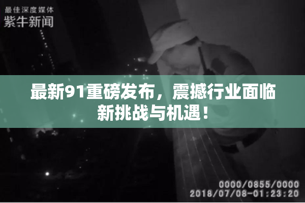 最新91重磅发布，震撼行业面临新挑战与机遇！