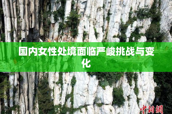 国内女性处境面临严峻挑战与变化