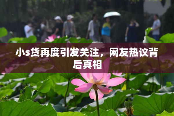 小s货再度引发关注，网友热议背后真相