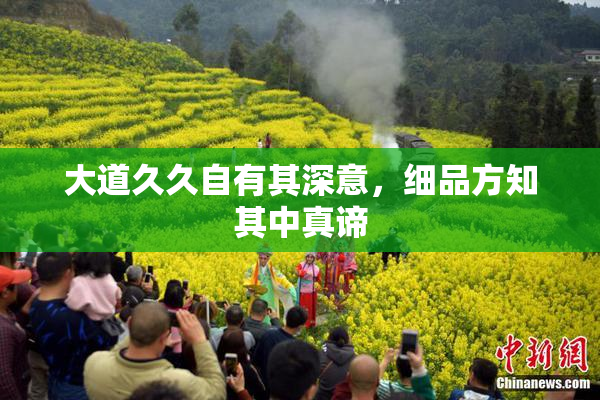大道久久自有其深意，细品方知其中真谛