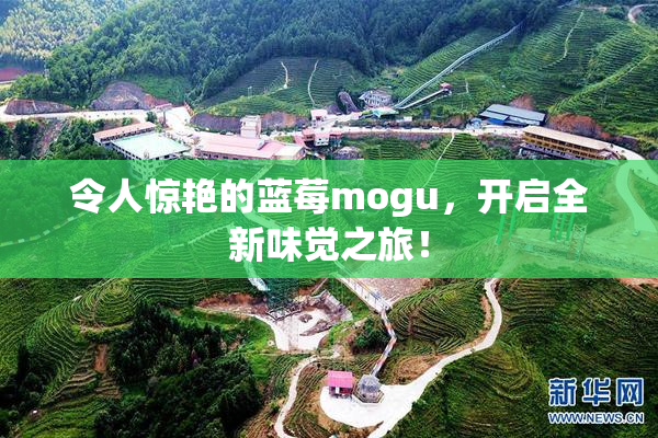 令人惊艳的蓝莓mogu，开启全新味觉之旅！
