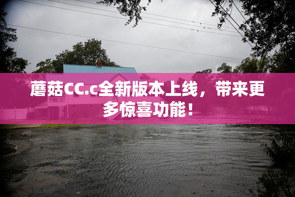 蘑菇CC.c全新版本上线，带来更多惊喜功能！
