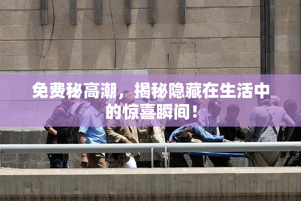 免费秘高潮，揭秘隐藏在生活中的惊喜瞬间！