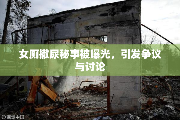 女厕撒尿秘事被曝光，引发争议与讨论