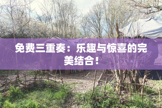 免费三重奏：乐趣与惊喜的完美结合！