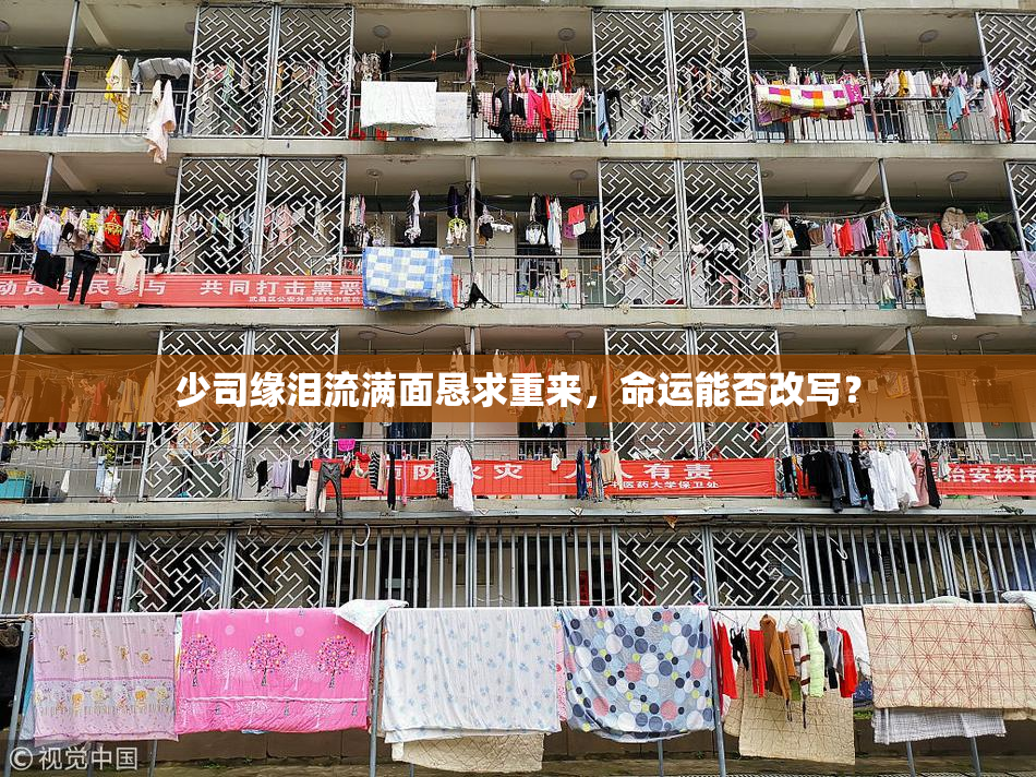 少司缘泪流满面恳求重来，命运能否改写？