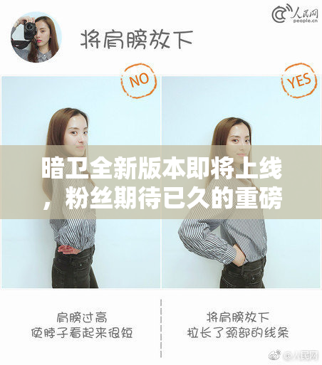 暗卫全新版本即将上线，粉丝期待已久的重磅更新！