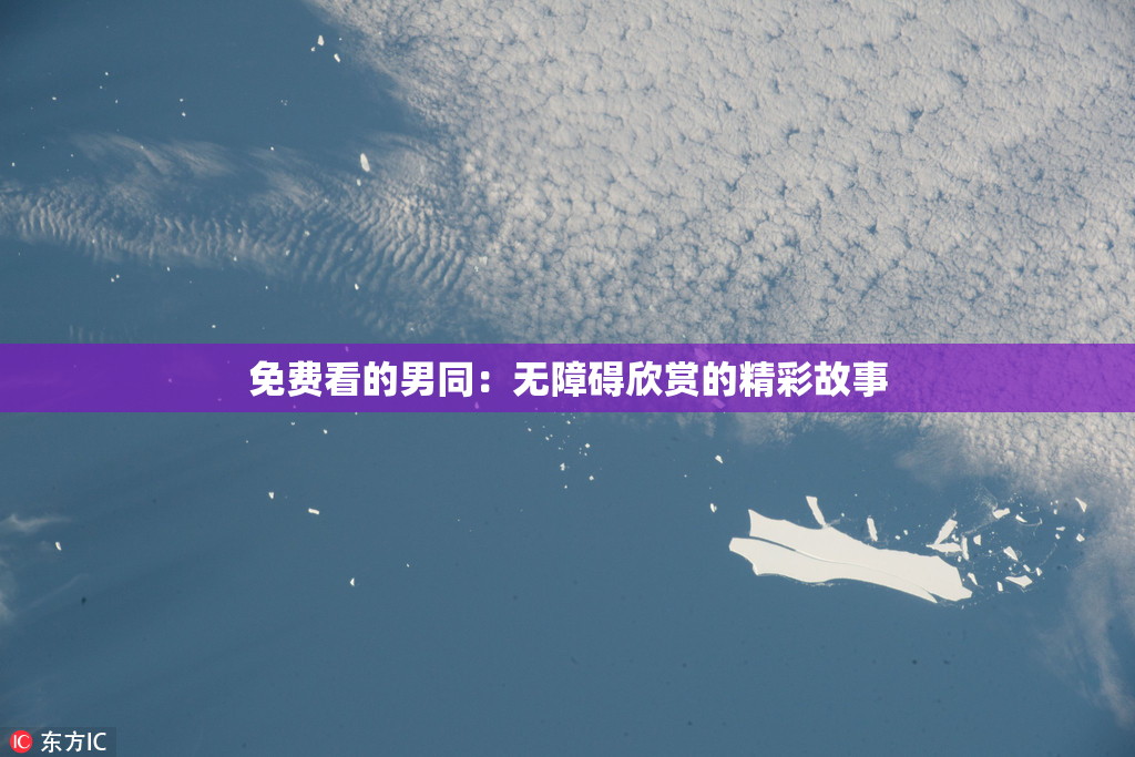免费看的男同：无障碍欣赏的精彩故事