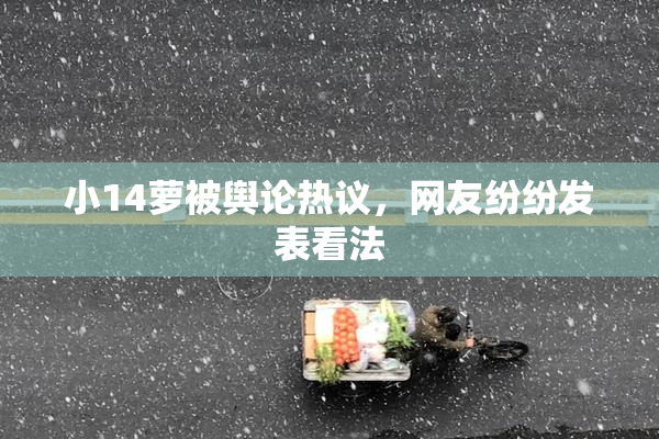 小14萝被舆论热议，网友纷纷发表看法