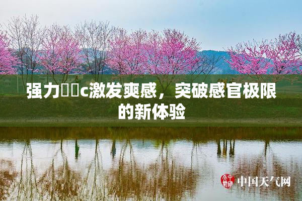 强力❌‌c激发爽感，突破感官极限的新体验