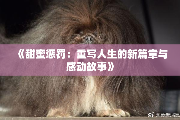 《甜蜜惩罚：重写人生的新篇章与感动故事》