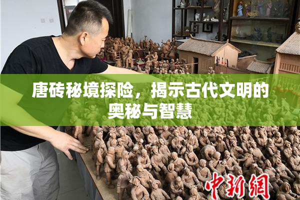 唐砖秘境探险，揭示古代文明的奥秘与智慧
