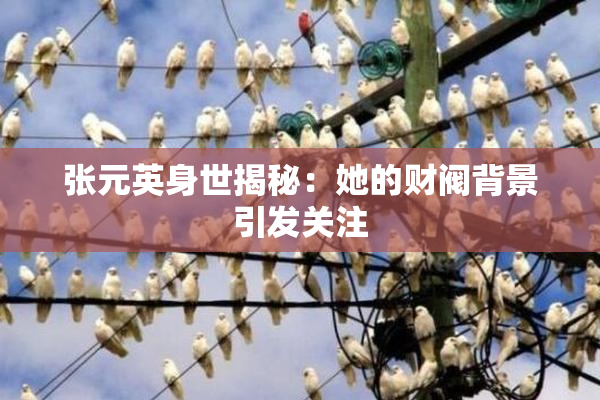 张元英身世揭秘：她的财阀背景引发关注