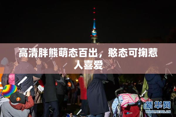 高清胖熊萌态百出，憨态可掬惹人喜爱