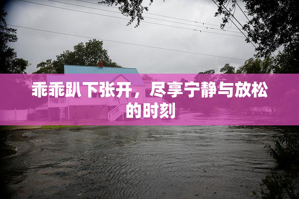 乖乖趴下张开，尽享宁静与放松的时刻