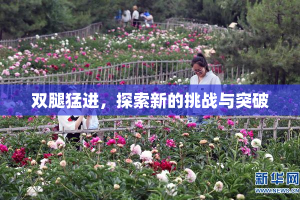 双腿猛进，探索新的挑战与突破