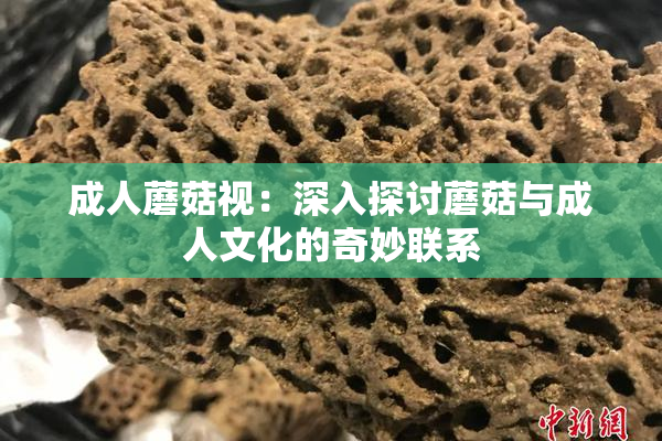 成人蘑菇视：深入探讨蘑菇与成人文化的奇妙联系