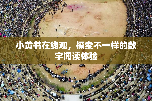 小黄书在线观，探索不一样的数字阅读体验