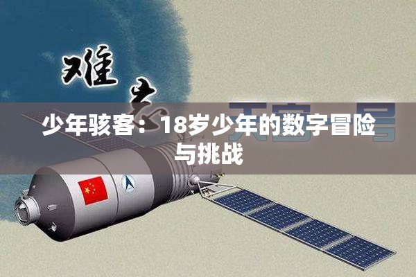 少年骇客：18岁少年的数字冒险与挑战