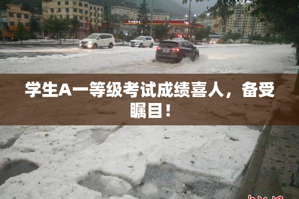学生A一等级考试成绩喜人，备受瞩目！