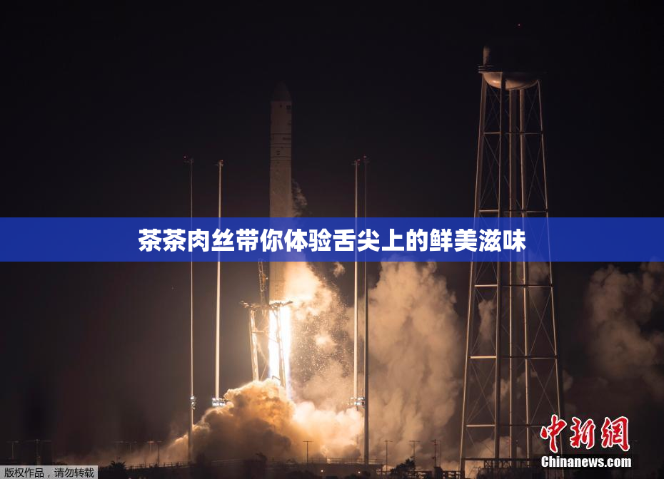 茶茶肉丝带你体验舌尖上的鲜美滋味