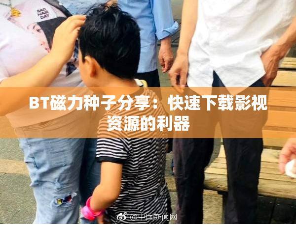 BT磁力种子分享：快速下载影视资源的利器