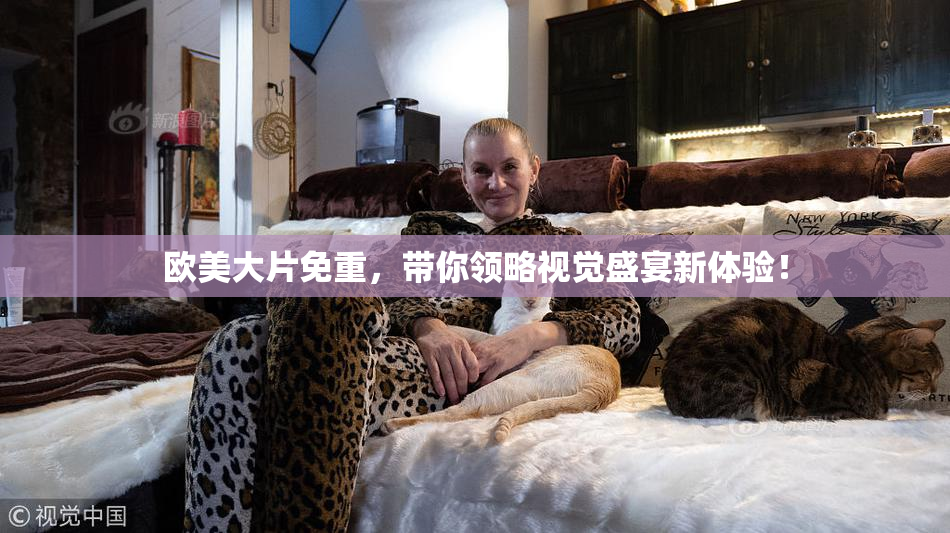 欧美大片免重，带你领略视觉盛宴新体验！