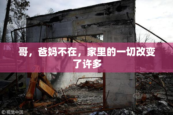 哥，爸妈不在，家里的一切改变了许多