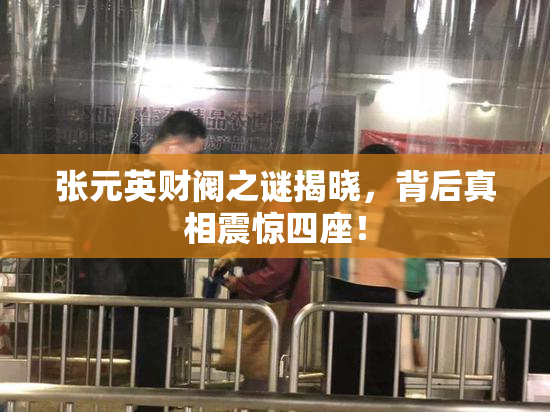张元英财阀之谜揭晓，背后真相震惊四座！