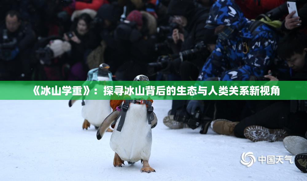 《冰山学重》：探寻冰山背后的生态与人类关系新视角