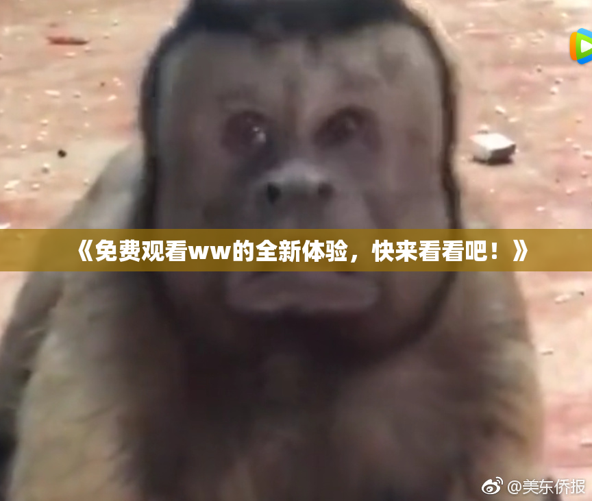 《免费观看ww的全新体验，快来看看吧！》