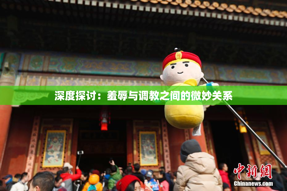 深度探讨：羞辱与调教之间的微妙关系