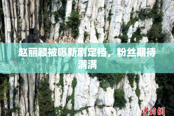 赵丽颖被曝新剧定档，粉丝期待满满