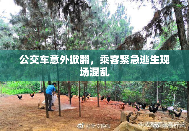 公交车意外掀翻，乘客紧急逃生现场混乱